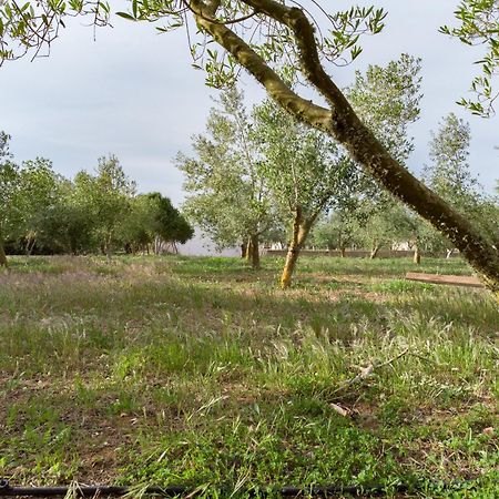 Agroturismo Malbuger Nou Menorca -Adults Only- 马翁 外观 照片