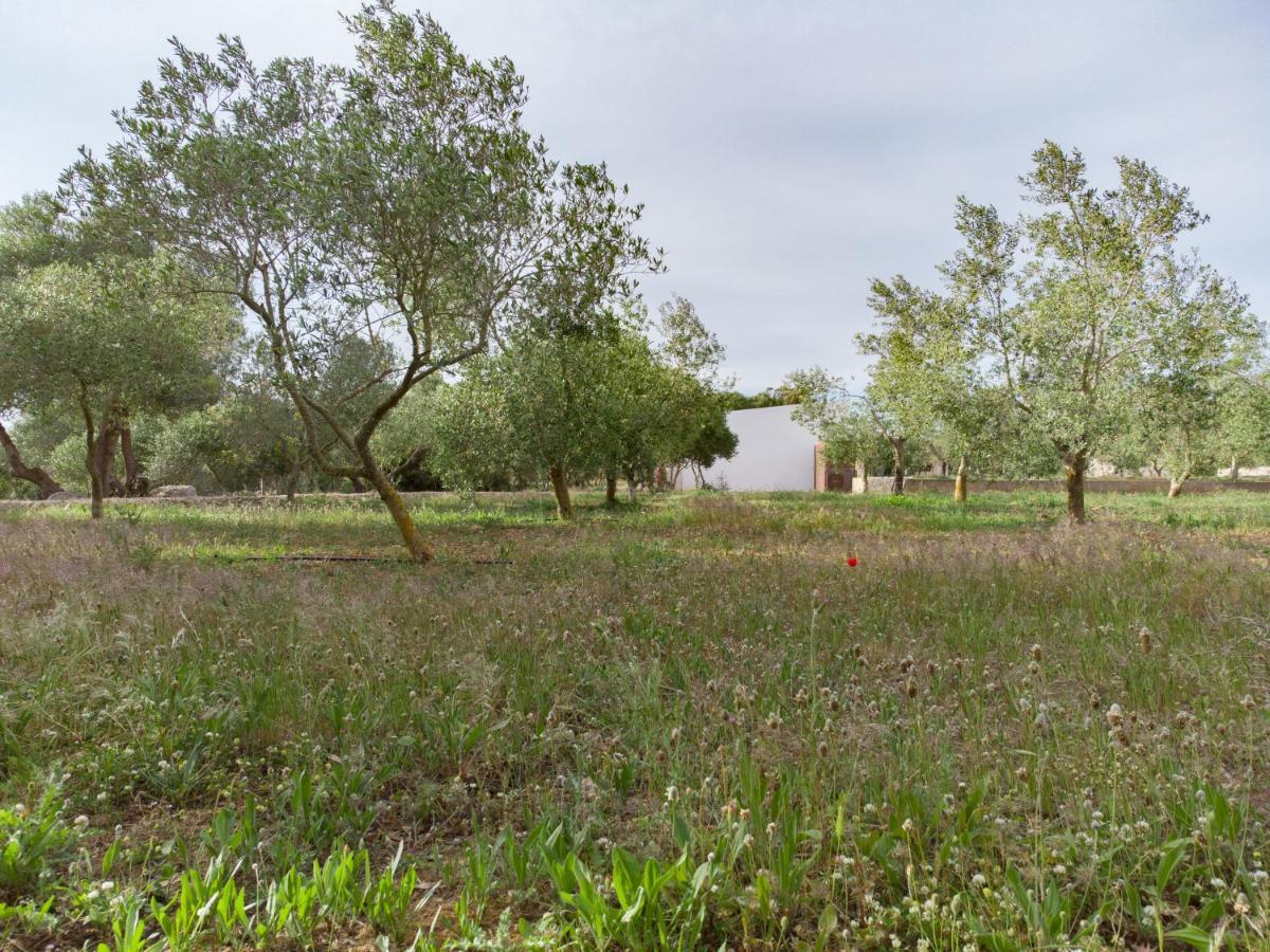 Agroturismo Malbuger Nou Menorca -Adults Only- 马翁 外观 照片