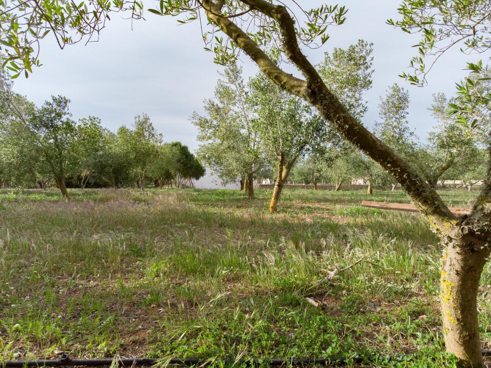 Agroturismo Malbuger Nou Menorca -Adults Only- 马翁 外观 照片